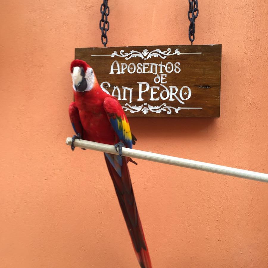 Aposentos De San Pedro Hotel Cartagena Bagian luar foto